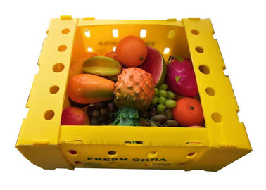 Fruit Raisin Packing PP Hollow Plastic Box Bergelombang